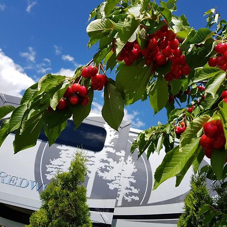 The Orchard At Oliver Hotell Eksteriør bilde