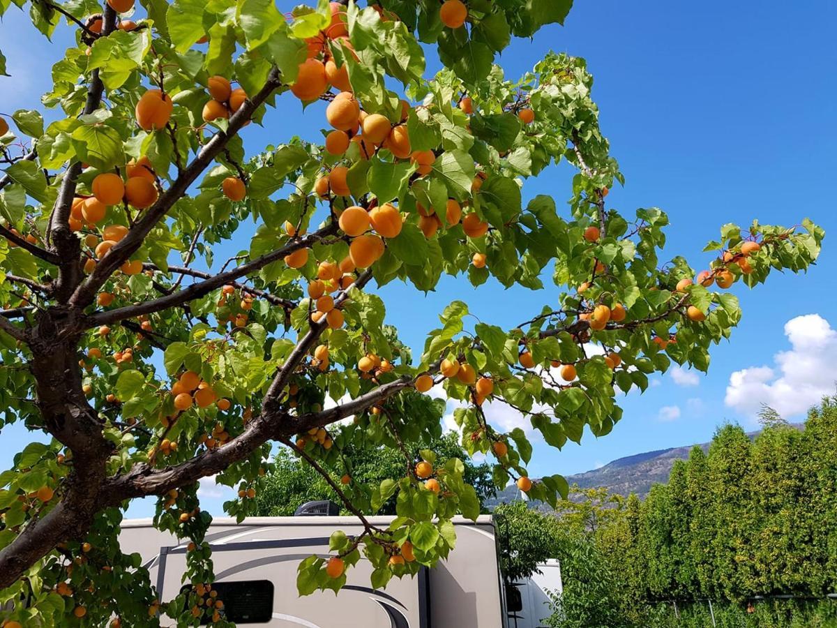 The Orchard At Oliver Hotell Eksteriør bilde