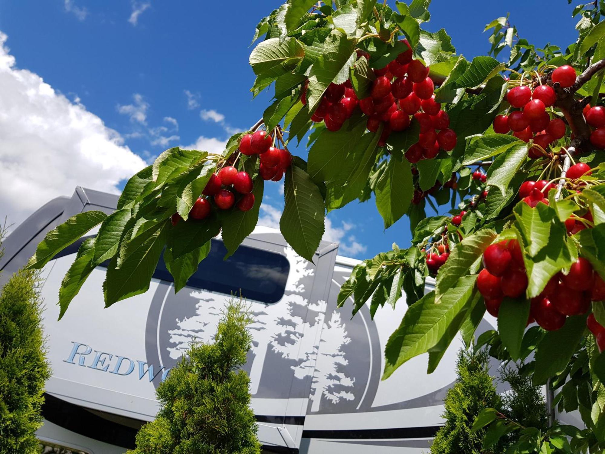 The Orchard At Oliver Hotell Eksteriør bilde